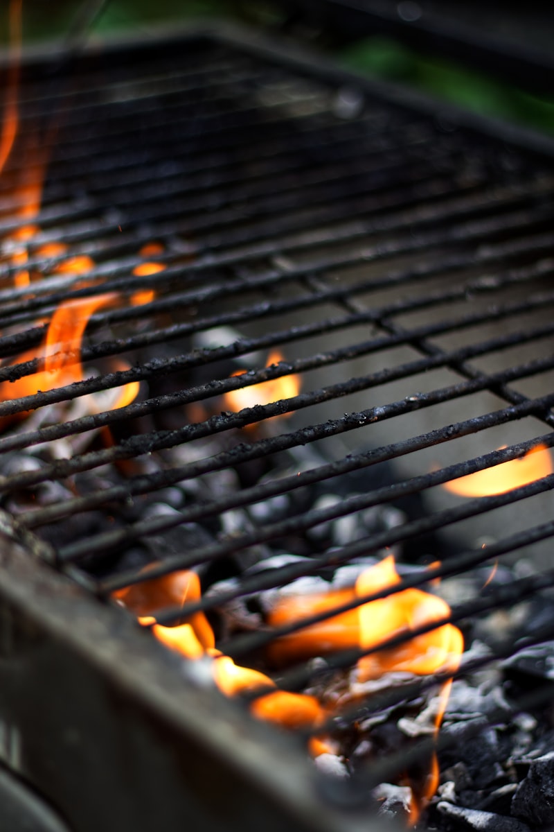 Carbón encendido en parrilla